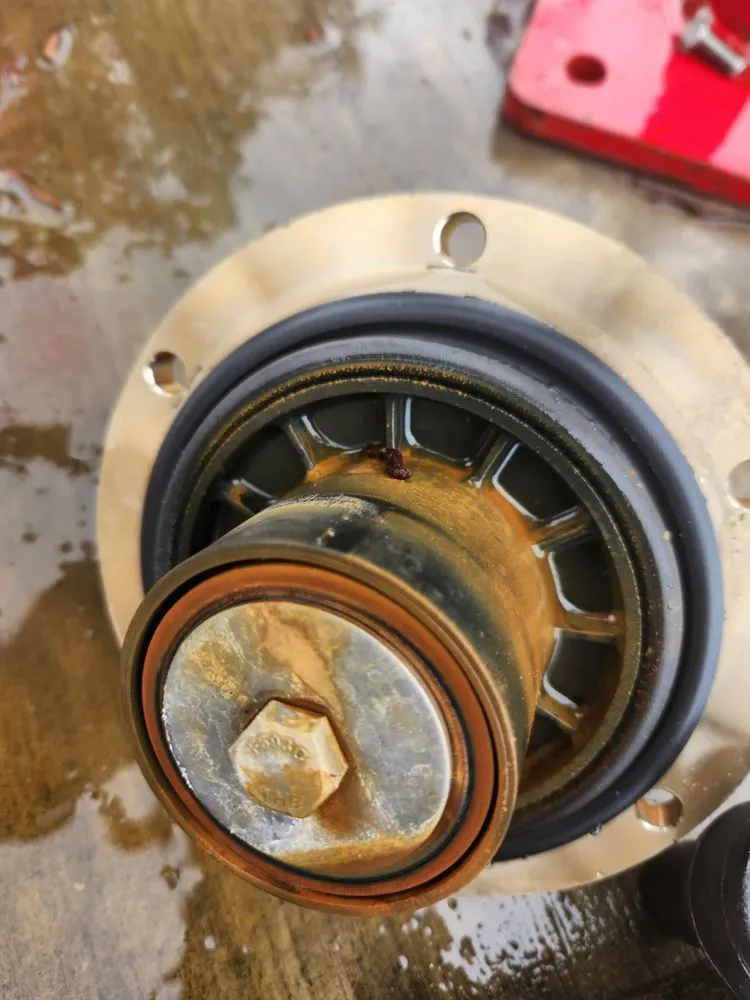 Slide of TS Backflow