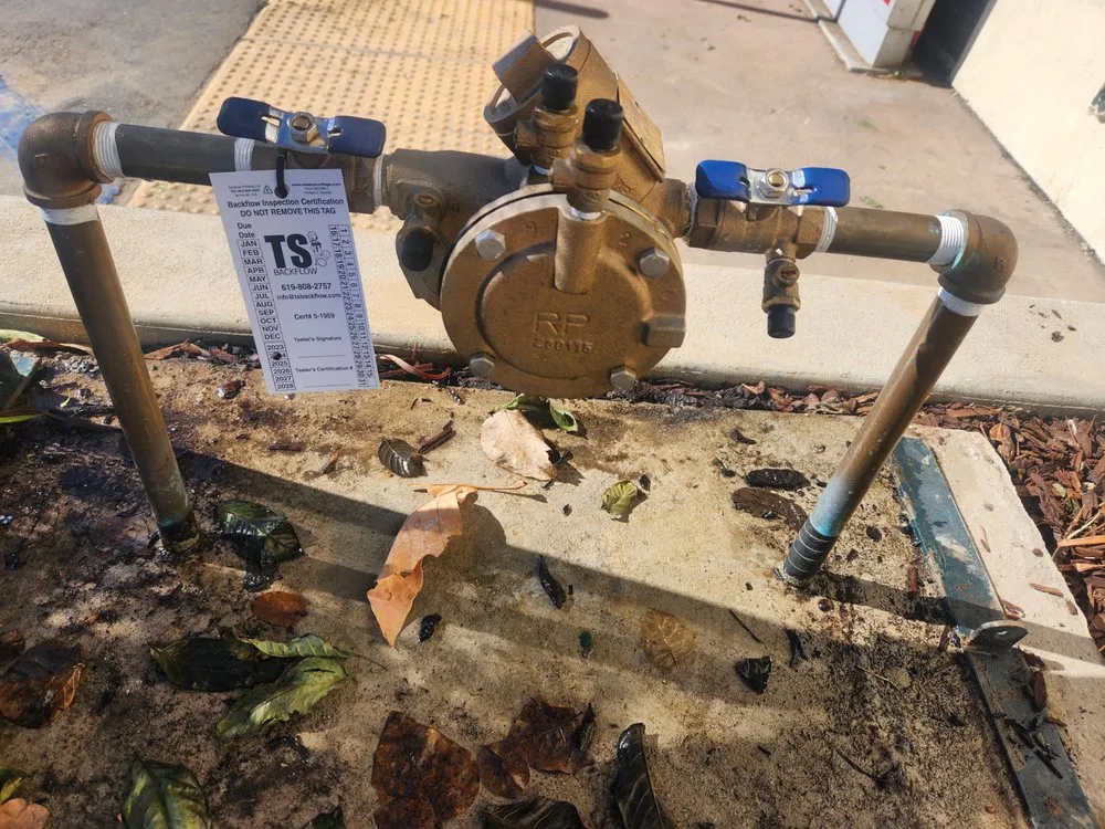 Slide of TS Backflow