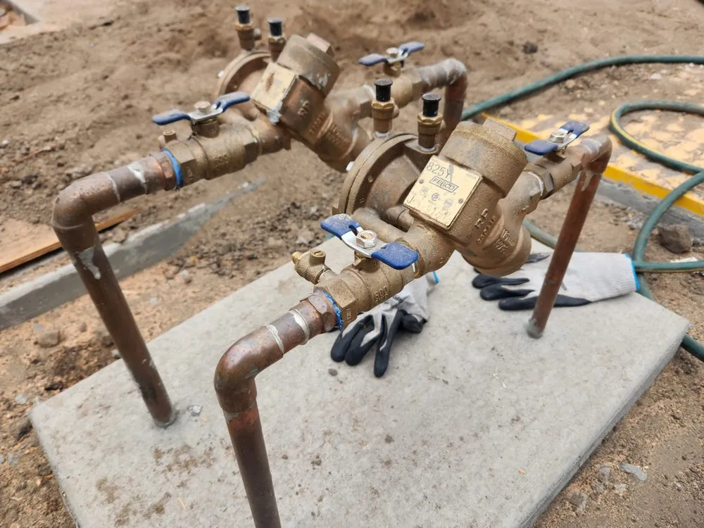 Slide of TS Backflow