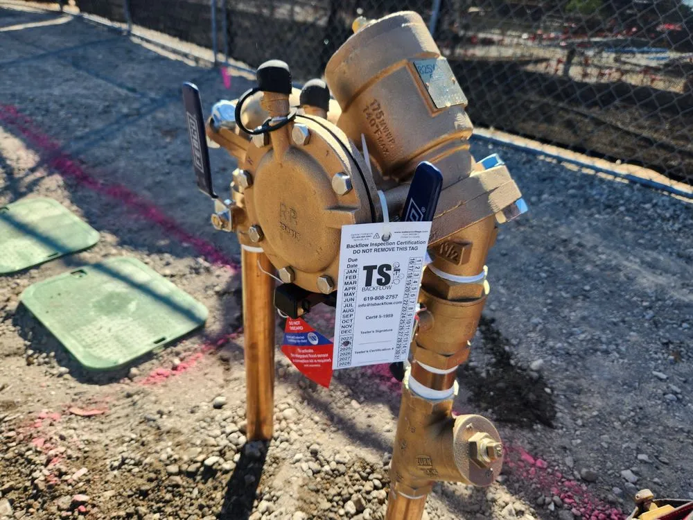 Slide of TS Backflow