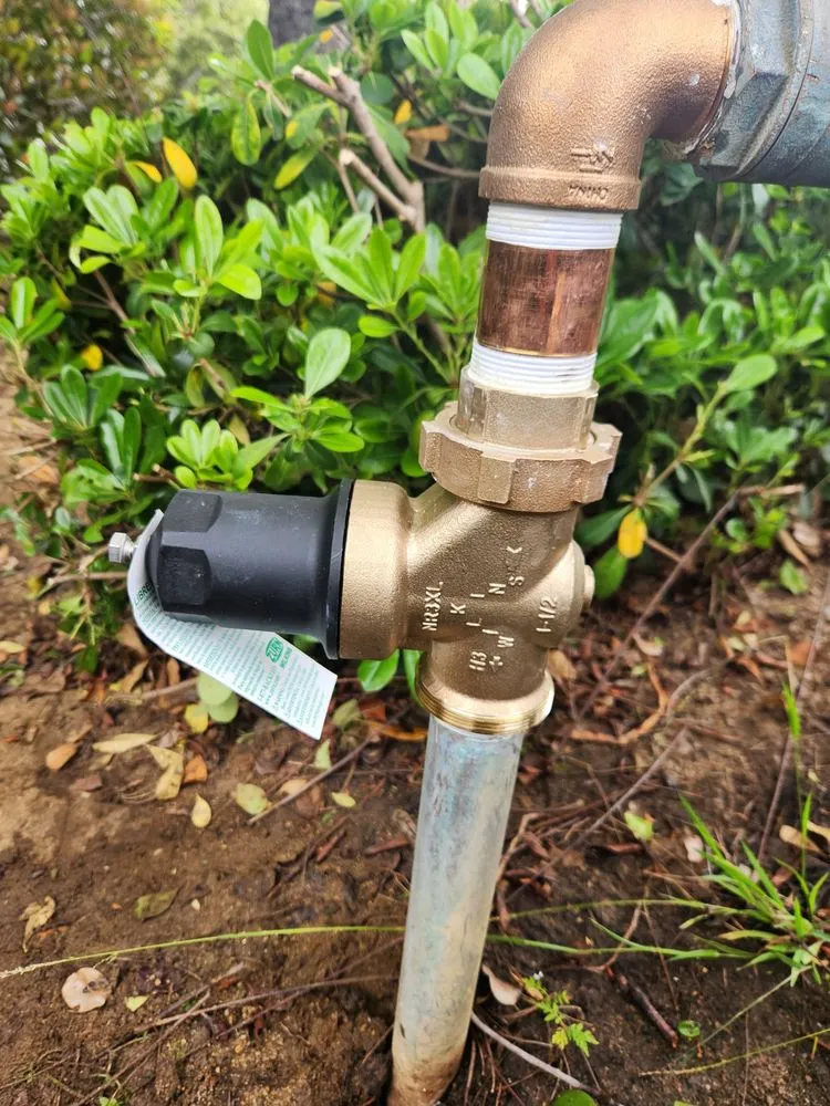 Slide of TS Backflow
