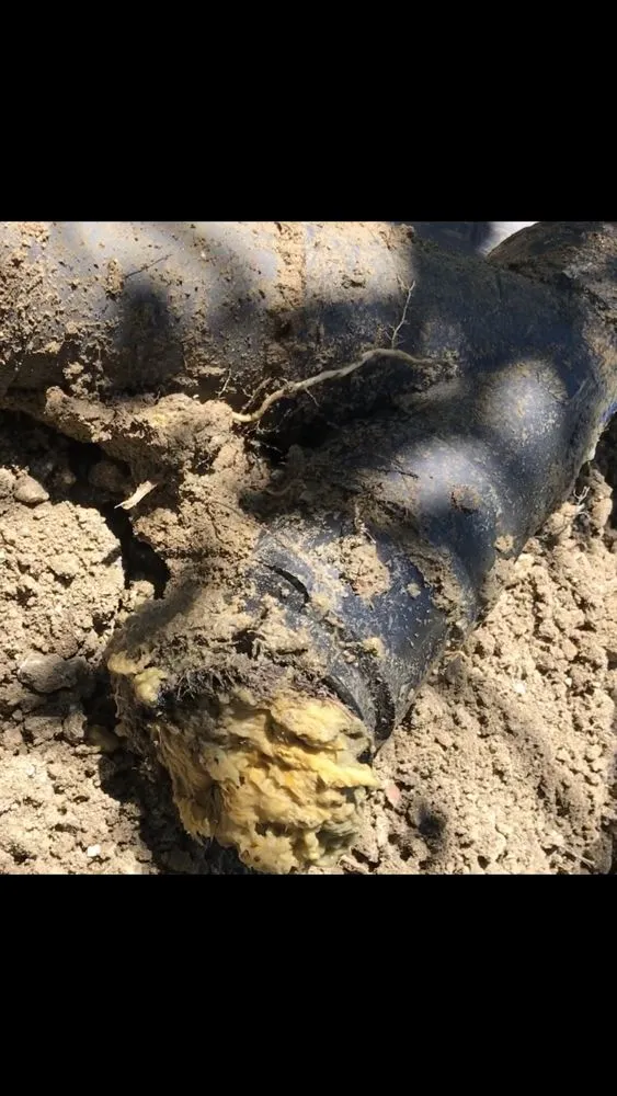 Expert drain cleaning in Los Angeles, CA by TS Plumbing & Rooter