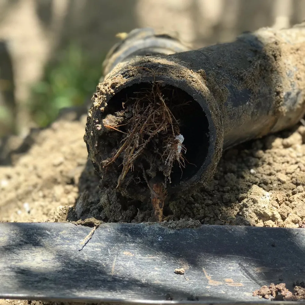 Slide of TS Plumbing & Rooter