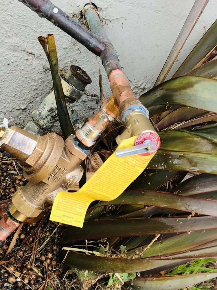 Reliable plumbing repair service in Torrance, CA - Tsunami Plumbing & Rooter