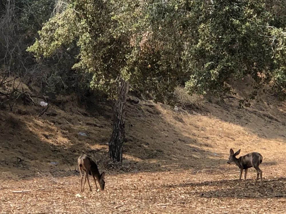 Slide of Tsunami Plumbing & Rooter