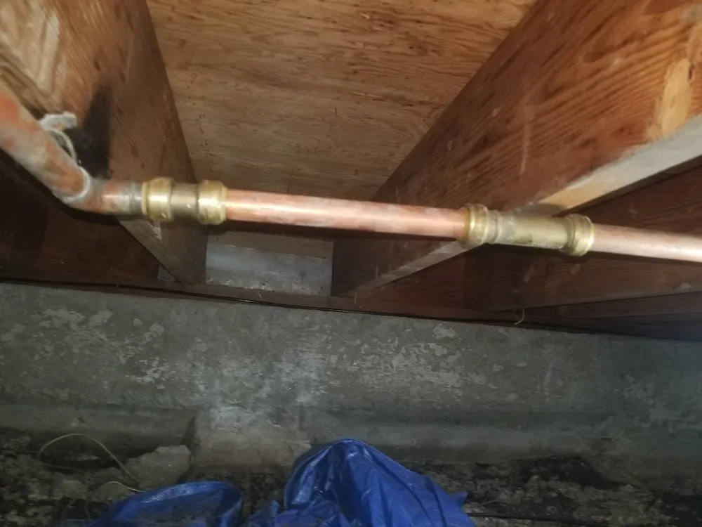 Slide of TTL Plumbing