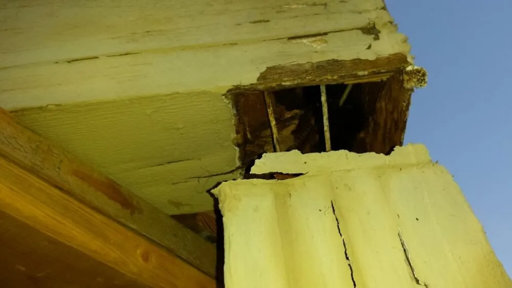 Slide of Tucson Leak Detection