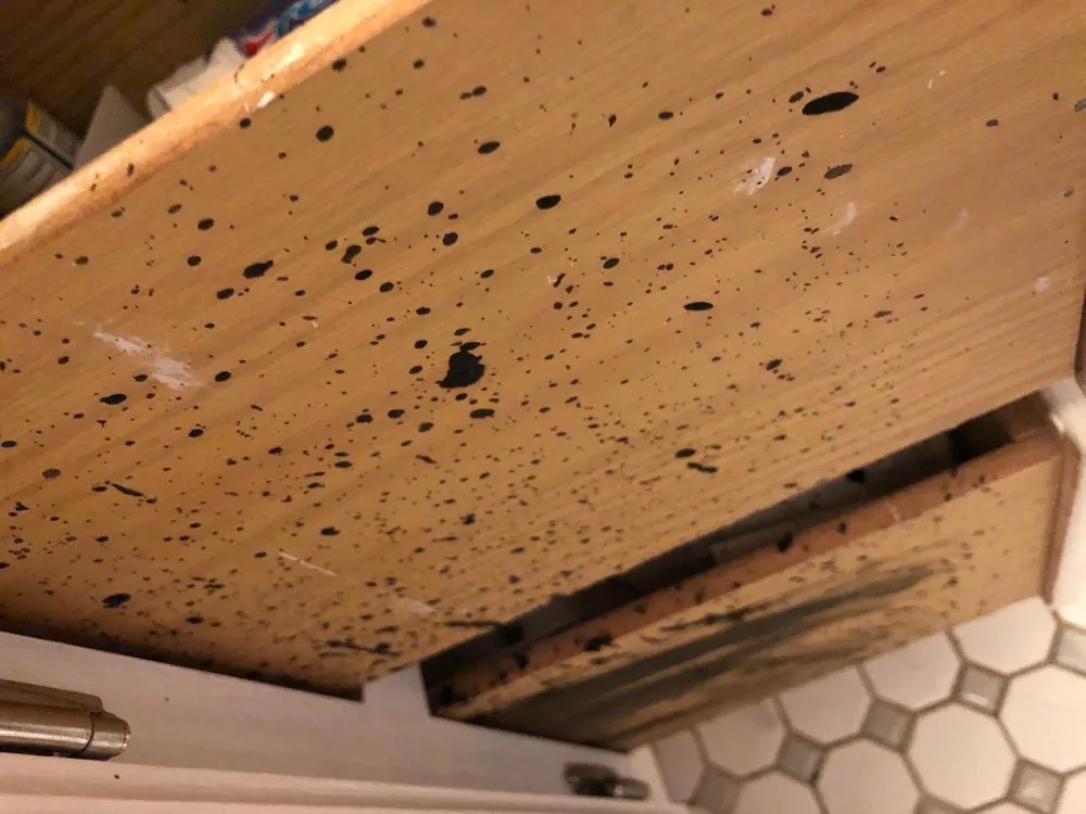 Slide of Tuffy's Sewer & Drain