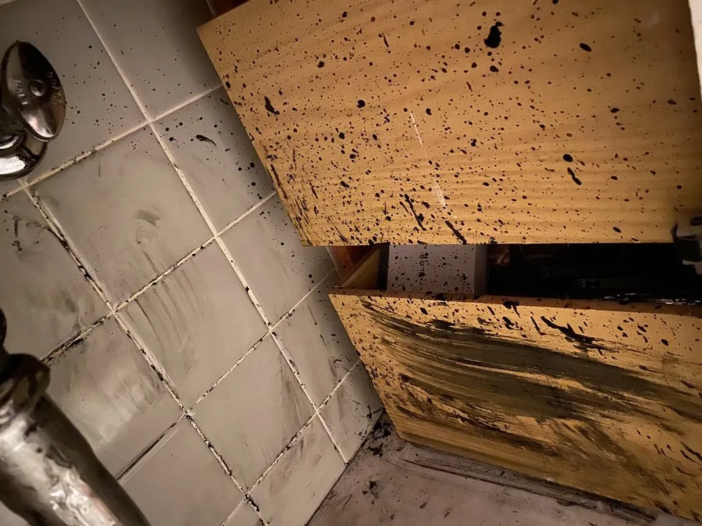 Slide of Tuffy's Sewer & Drain