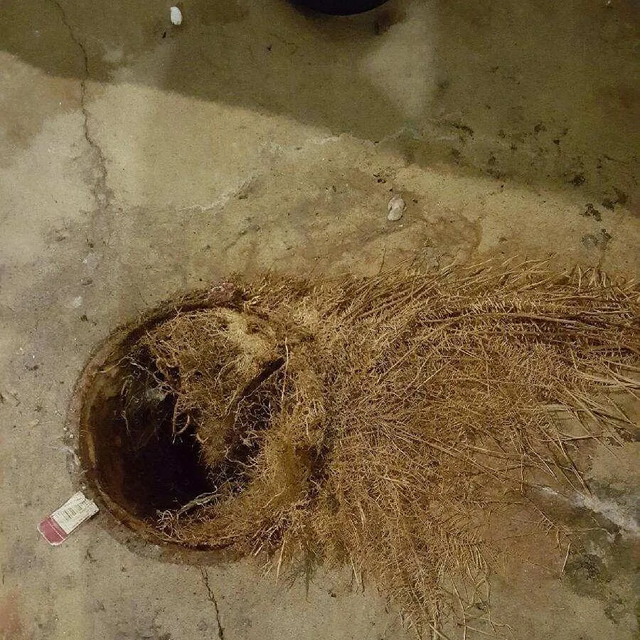 Slide of Tuffy's Sewer & Drain