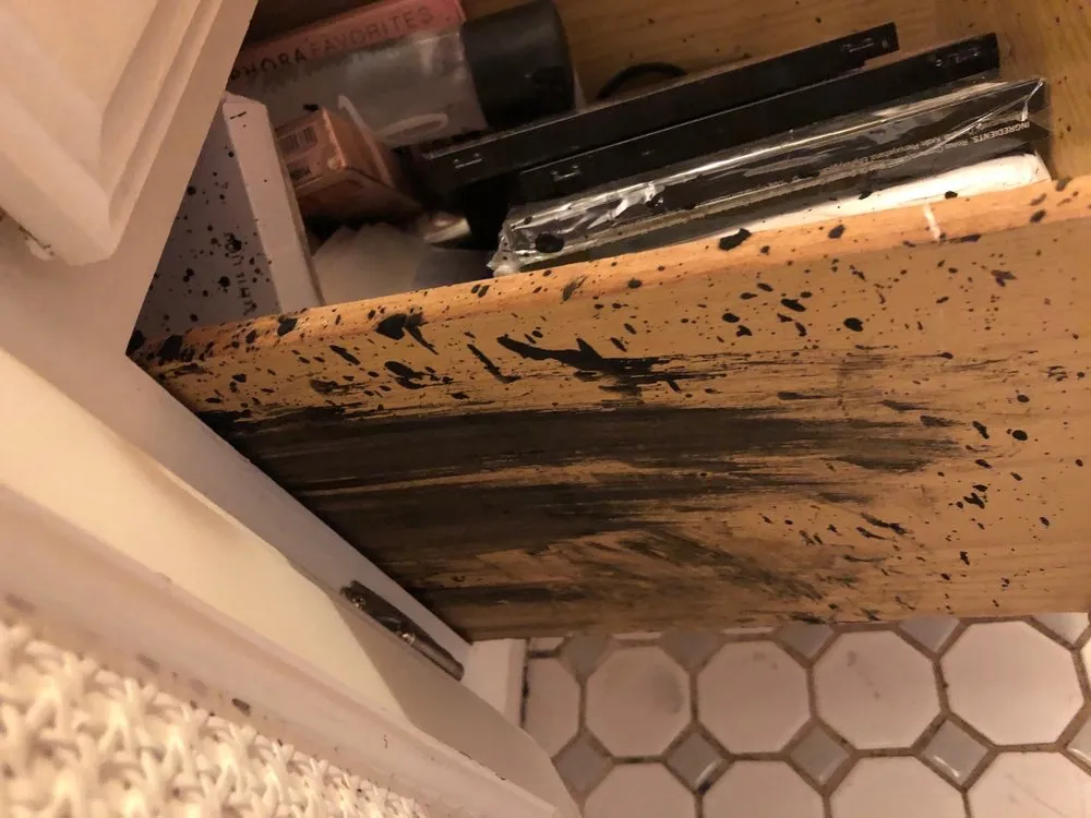 Reliable emergency plumbing for homes in Milwaukee, WI by Tuffy's Sewer & Drain