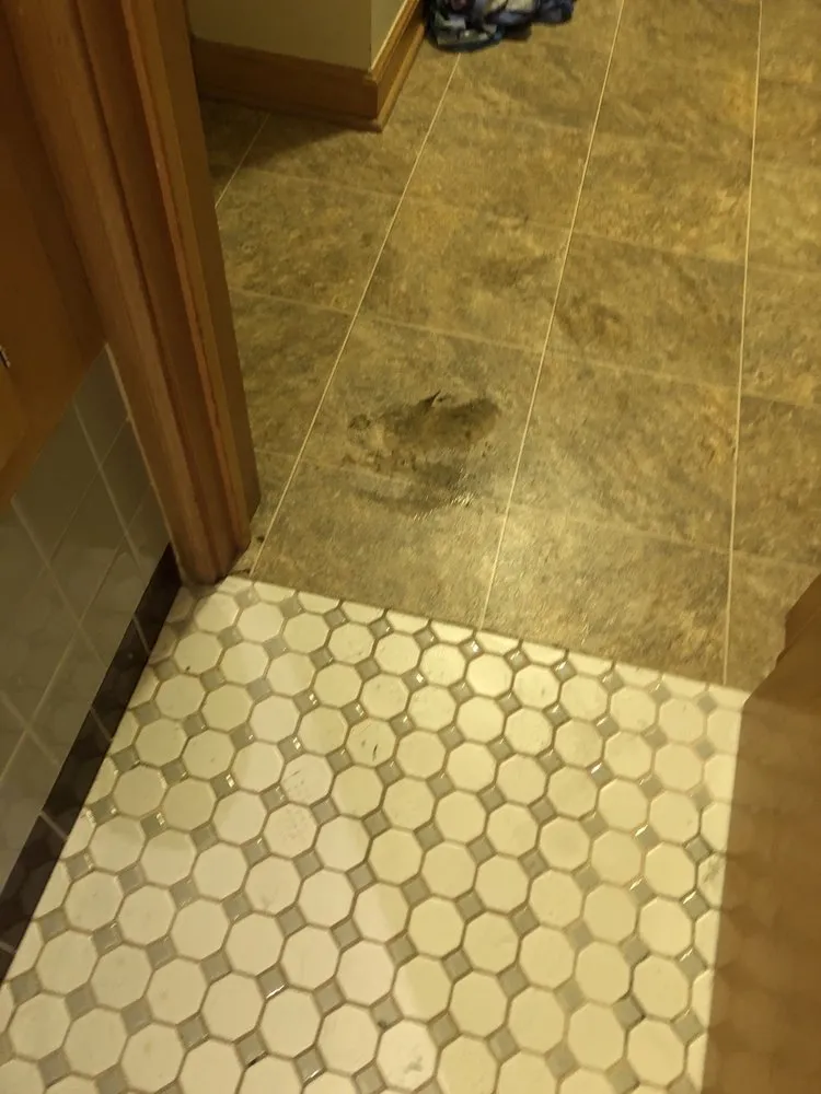 Affordable leak detection in Milwaukee, WI by Tuffy's Sewer & Drain