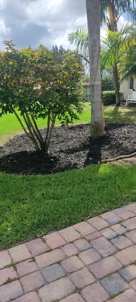 Slide of Tukey's Handy Services