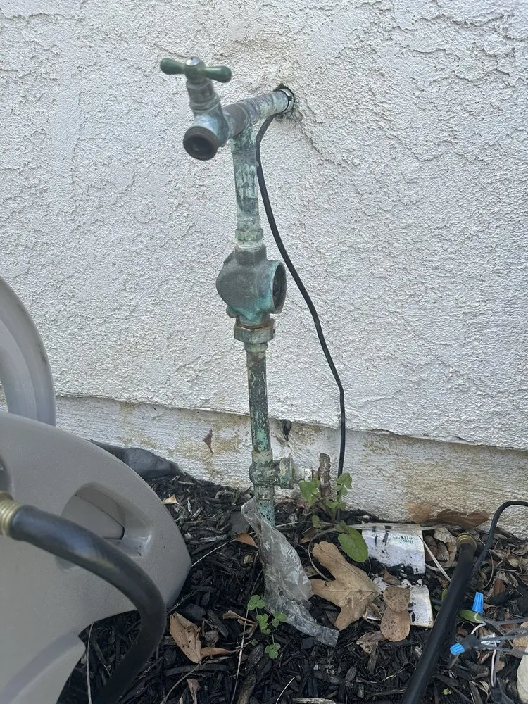 Slide of Turtle and Tito's Plumbing