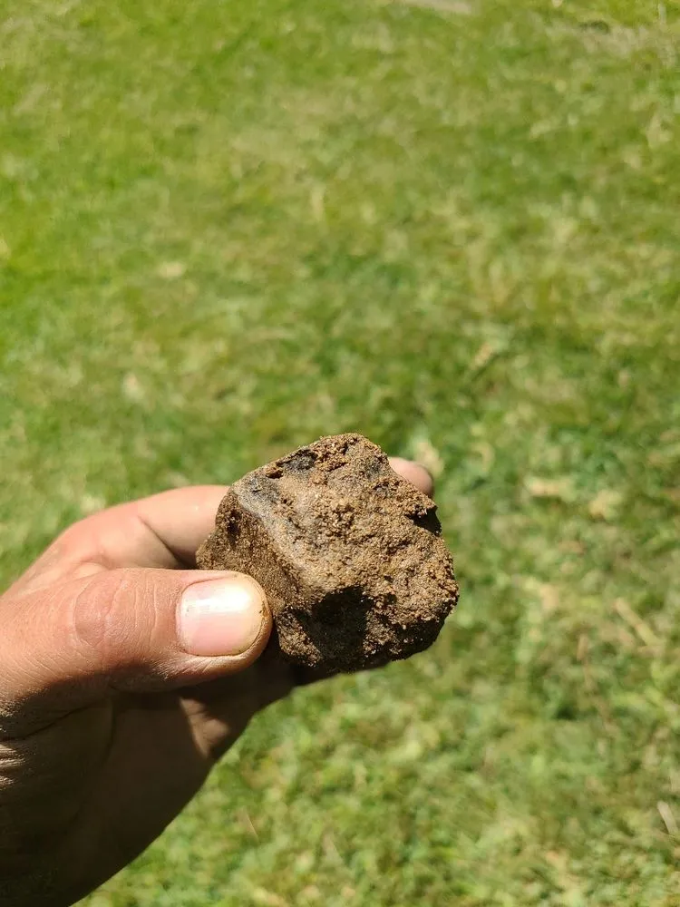 Slide of Turtle and Tito's Plumbing