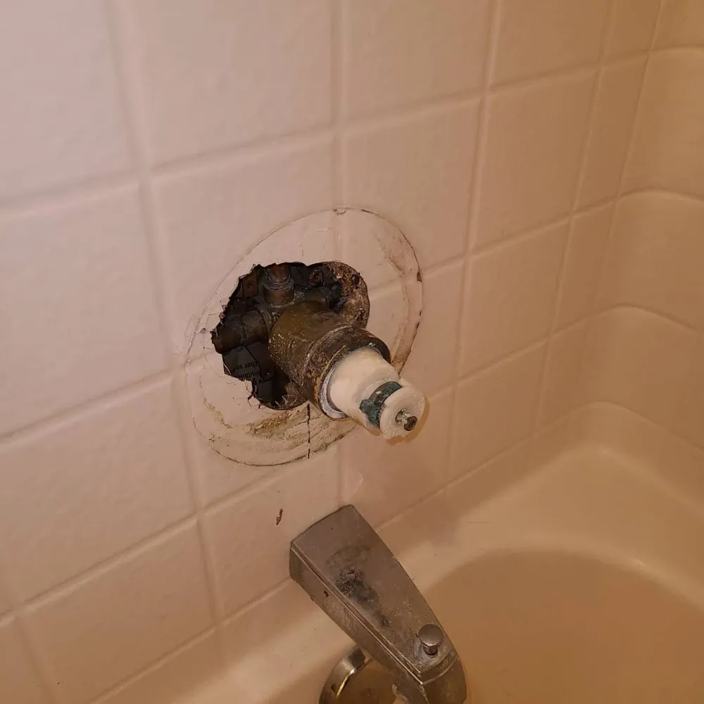 Slide of Turtle and Tito's Plumbing