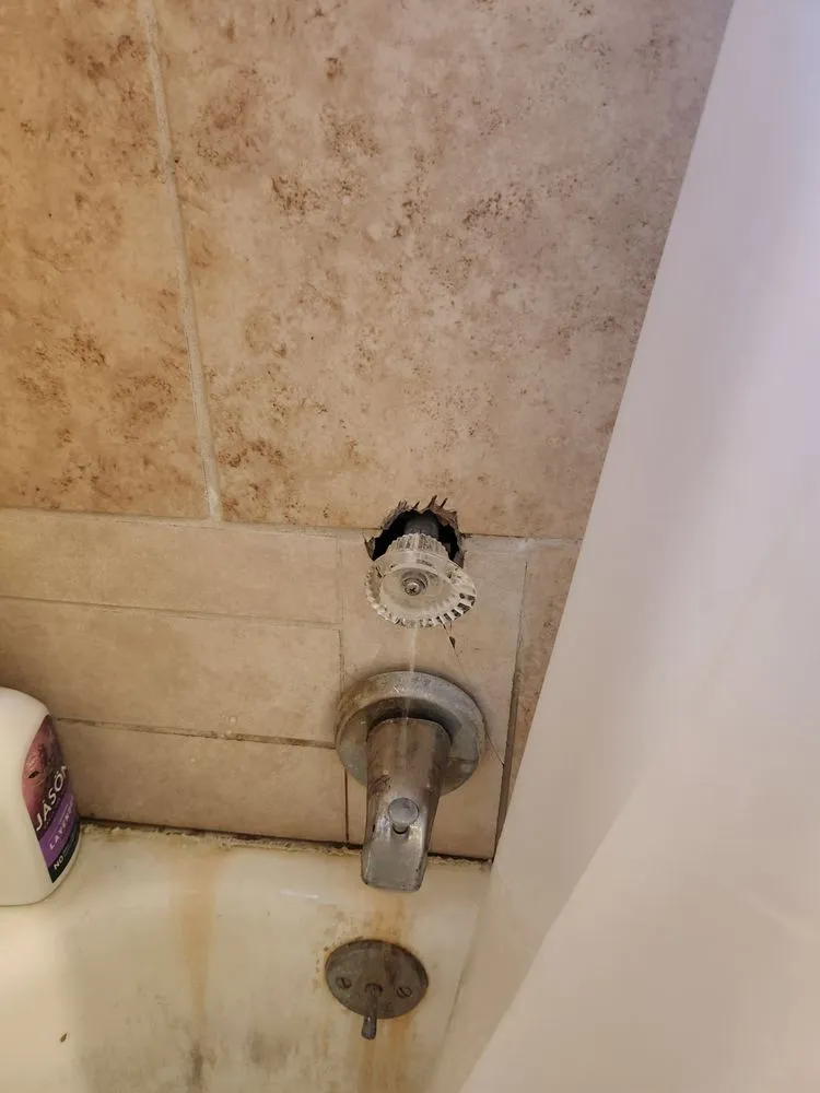 Slide of Twan the Plumber