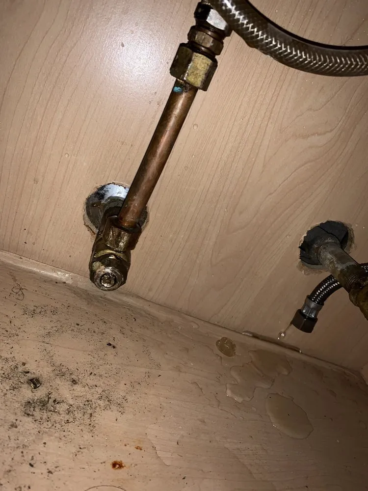 Affordable emergency plumbing for homes in Bonita Springs, FL by Twin Eagles Plumbing And Water Cleanup