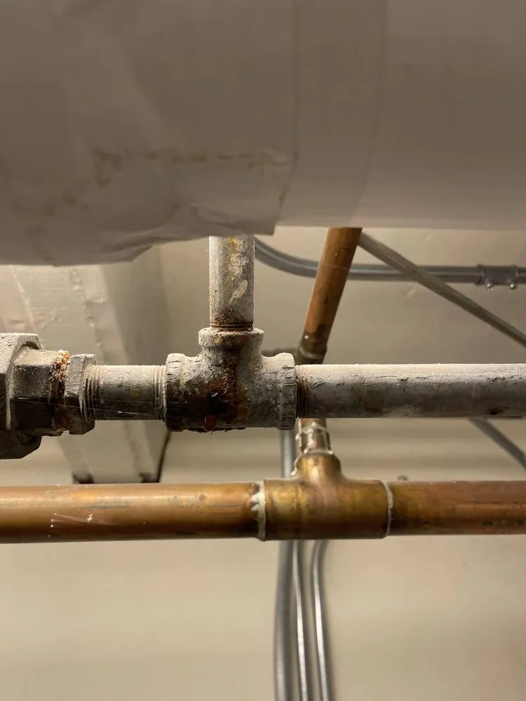 Expert leak detection experts serving Bonita Springs, FL - Twin Eagles Plumbing And Water Cleanup