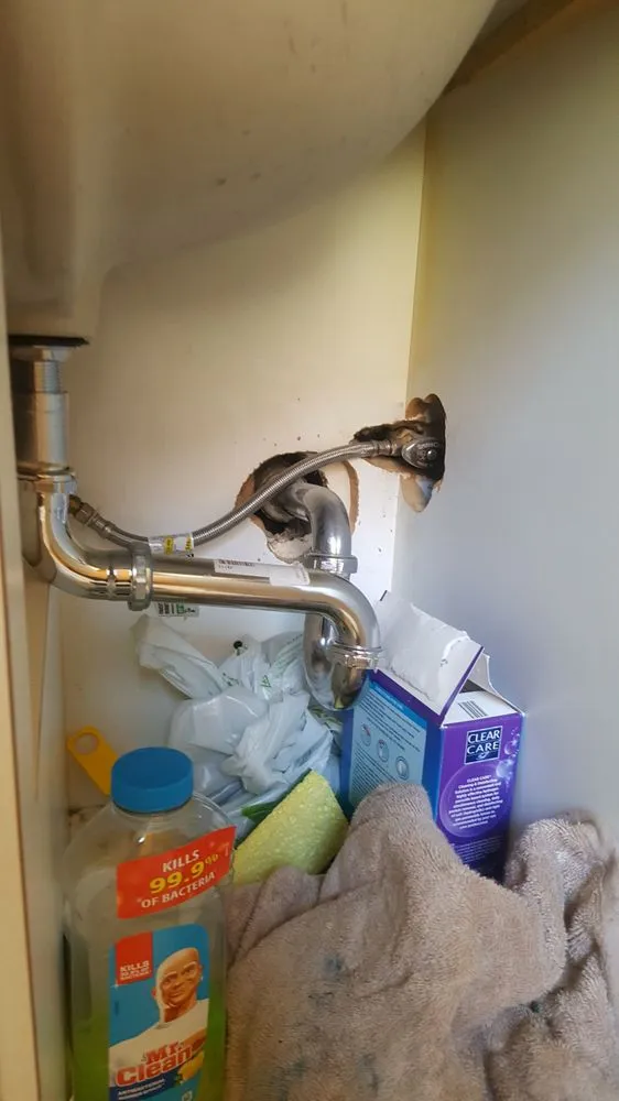 Trusted emergency plumbing in Bonita Springs, FL by Twin Eagles Plumbing And Water Cleanup