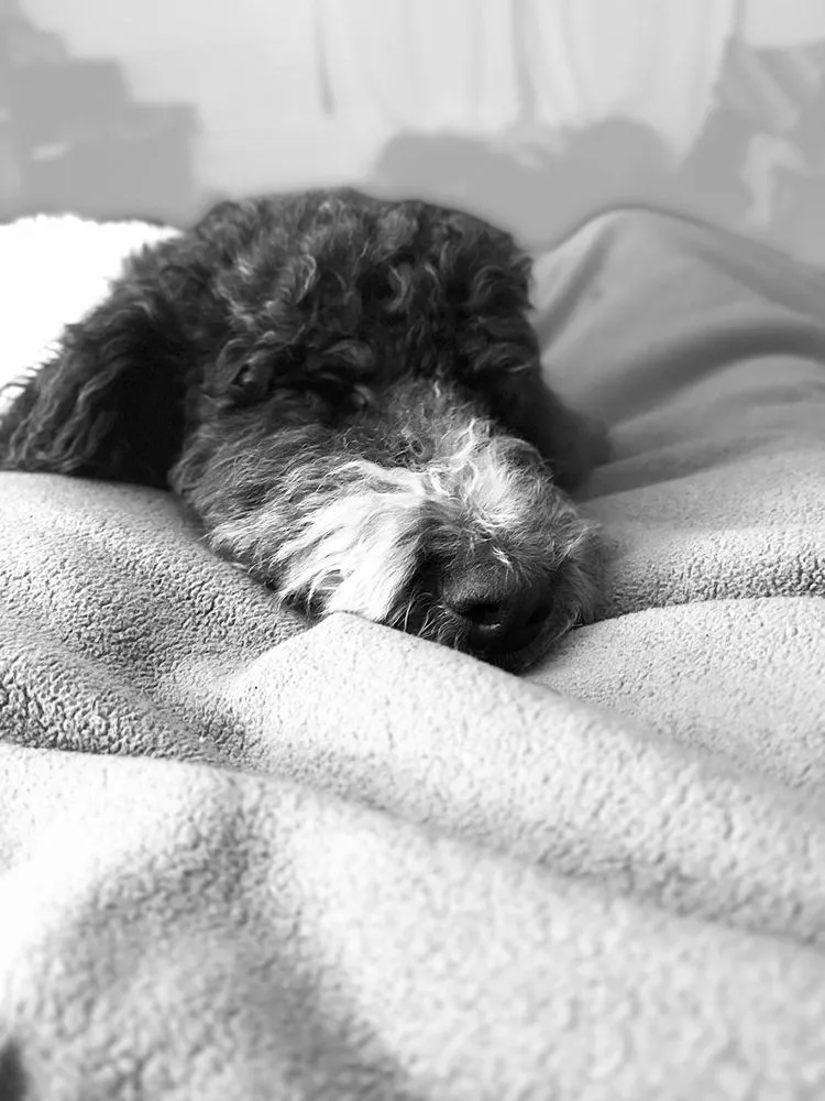 Slide of Twin Handyman & Plumbing