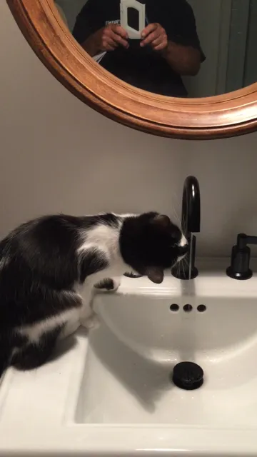 Slide of Twins Plumbing & Rooter