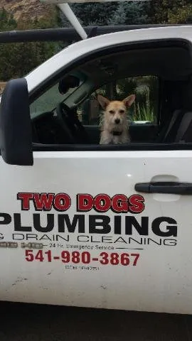 Slide of Two Dogs Plumbing and Drain Cleaning