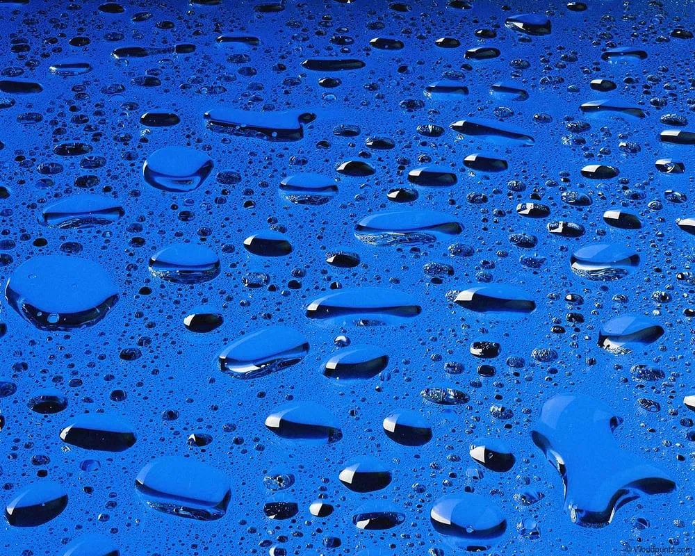 Slide of Tx Green Solutions