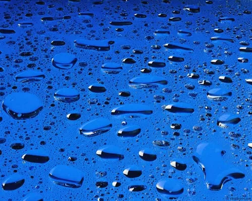 Tx Green Solutions Logo