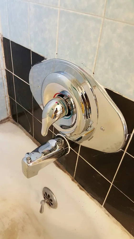 Slide of TX Plumbing Bureau