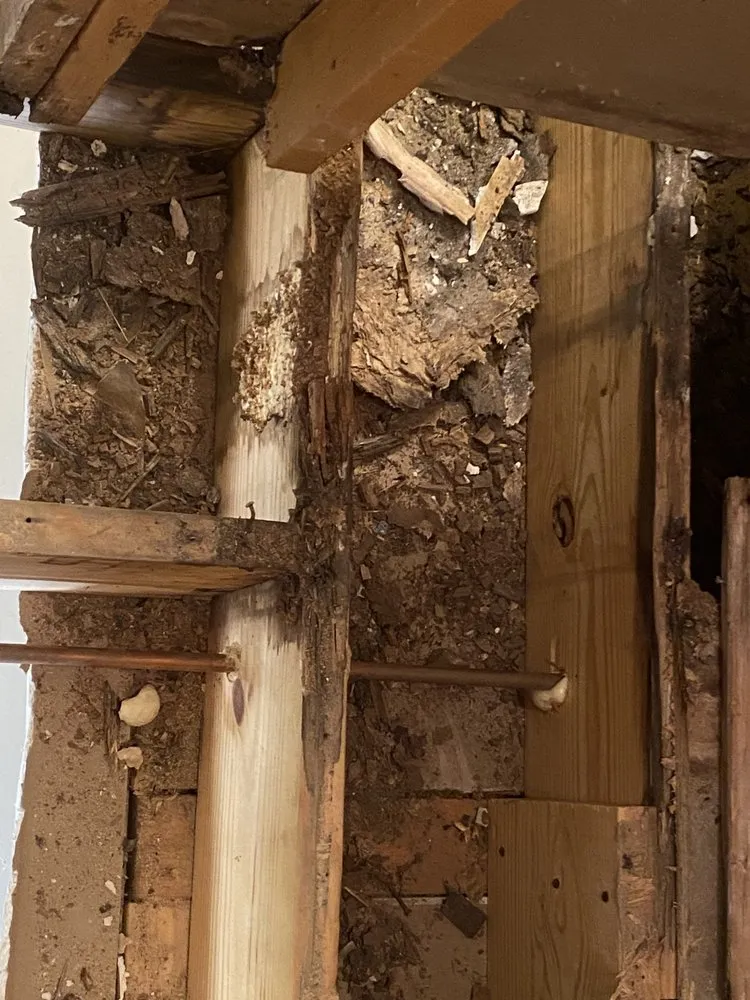 Slide of Tym-X Works