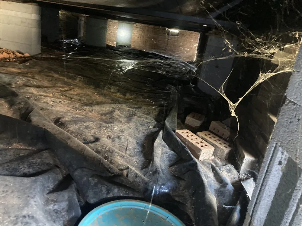 Slide of Ultimate Plumbing