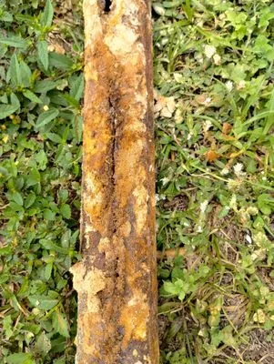 Ultimate Plumbing Solutions Logo