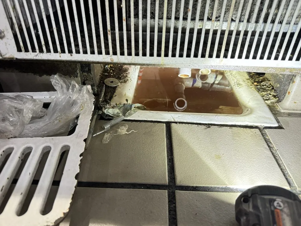 Slide of Ultimate Thrones Plumbing