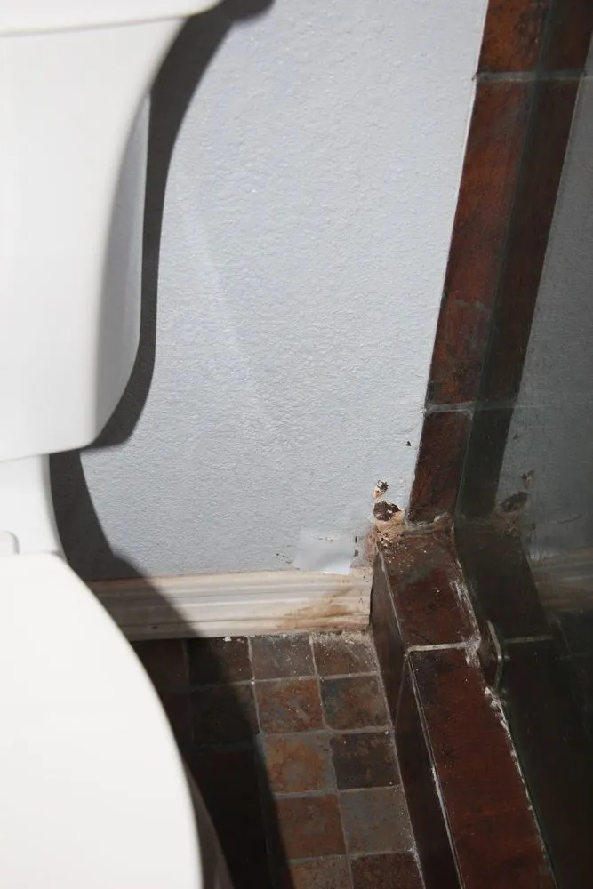 Slide of Uncle Pat Plumbing