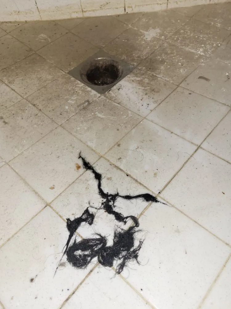 Affordable drain cleaning for homes in Los Angeles, CA by Unclogged Rooter And Plumbing Services