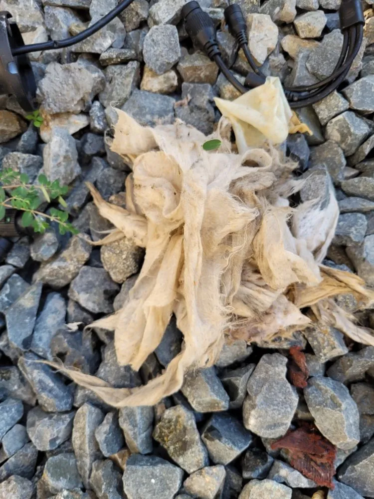 Slide of Unclogged Rooter And Plumbing Services