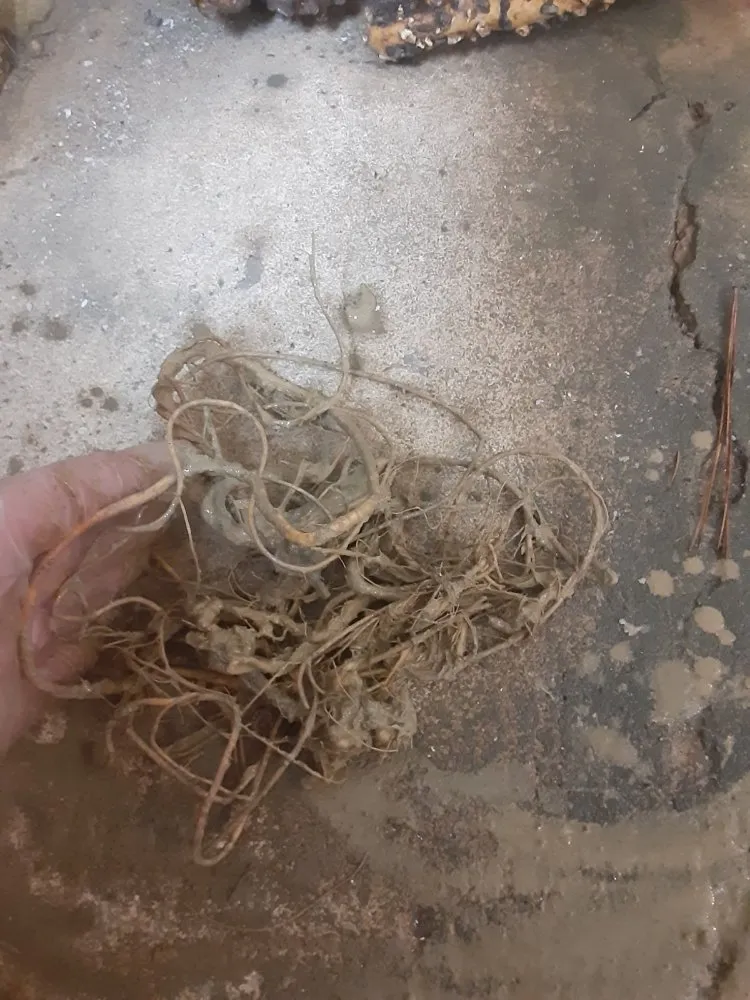 Slide of Unclogit Sewer and Drain