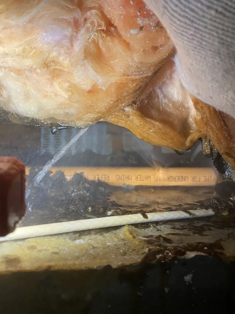 Slide of Unique Improvement