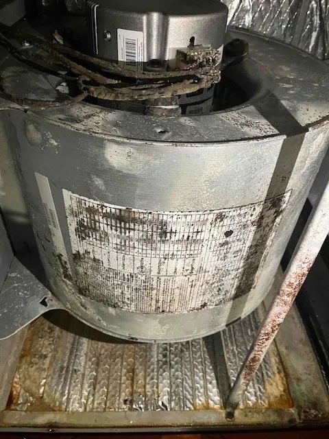 Slide of Unique Services