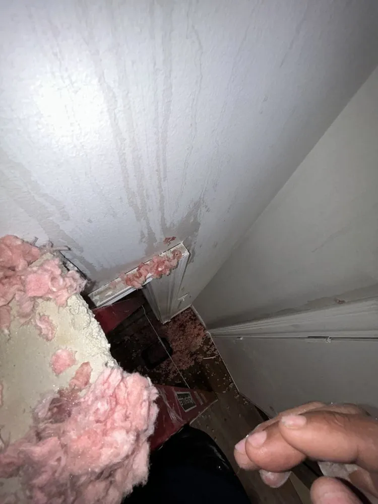 Slide of Uniquely Fixed