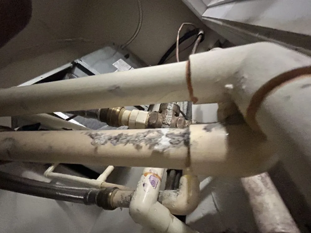 Slide of Uniquely Fixed