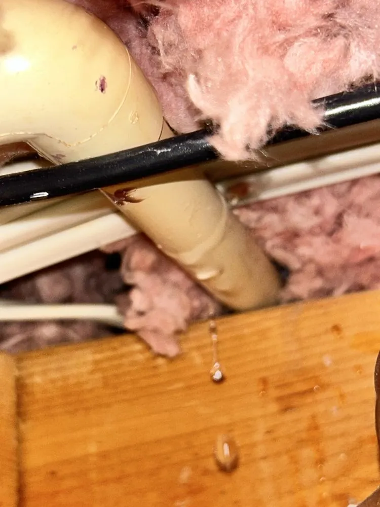 Slide of Uniquely Fixed