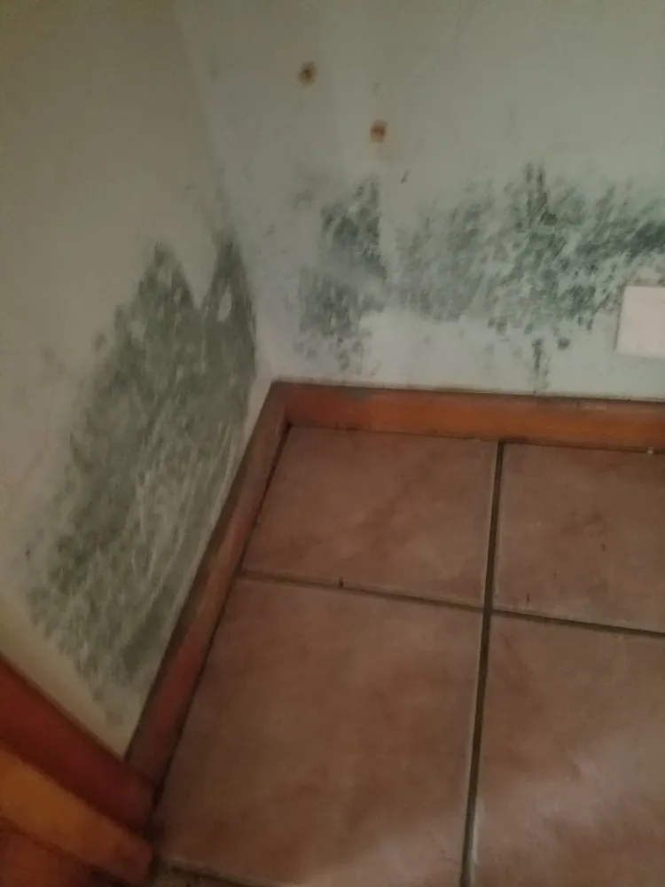 Quality pipe repair for homes in Baton Rouge, LA by United Fire & Water Damage of Louisiana