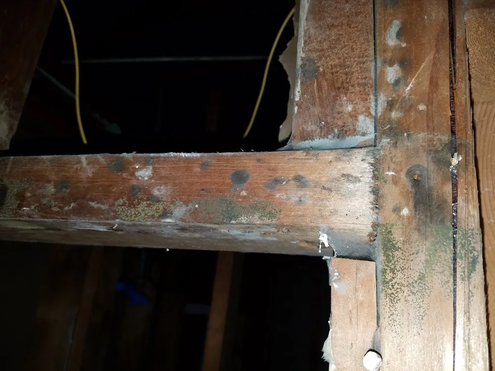 Slide of United Fire & Water Damage of Louisiana