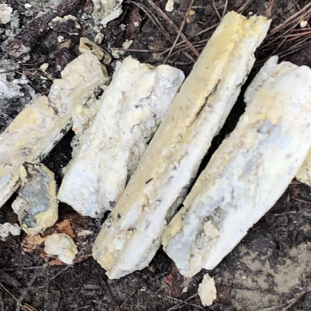 Slide of United Plumbing and Drain