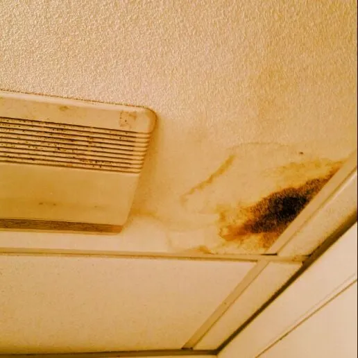 Slide of United Sewer and Drain