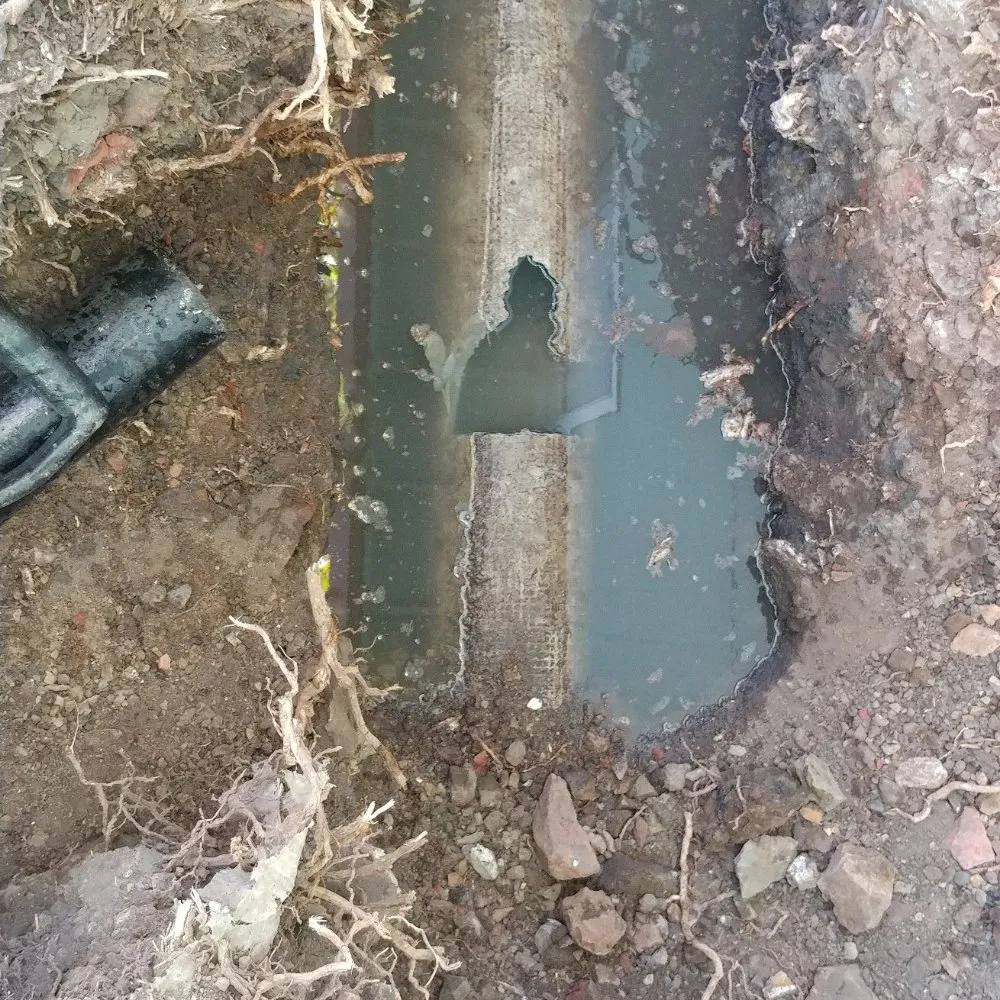 Affordable drain cleaning for homes in Santa Rosa, CA by United States Plumbing