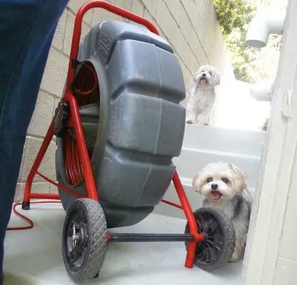 Universal Plumbers Logo