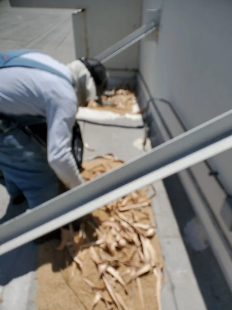 Slide of Upright Plumbing